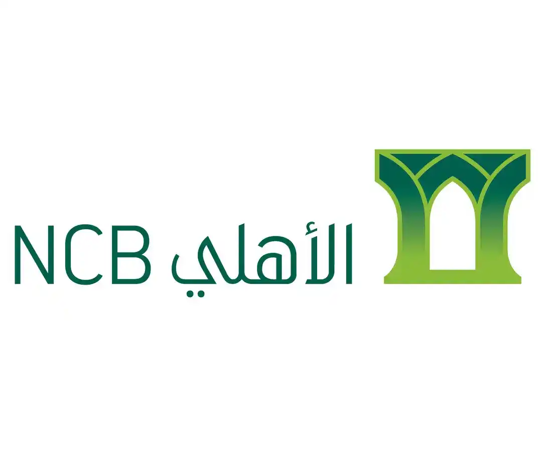 SNB Logo